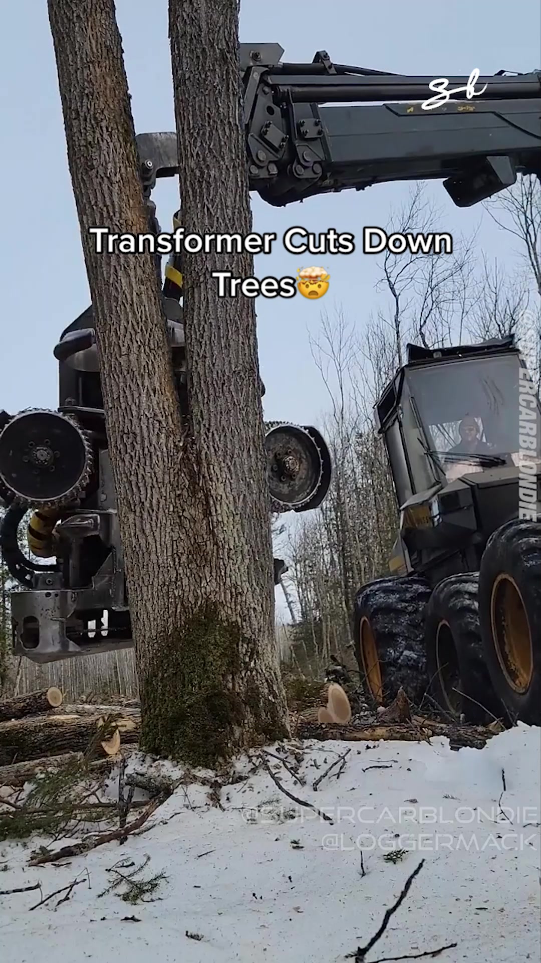 Transformer cuts down trees